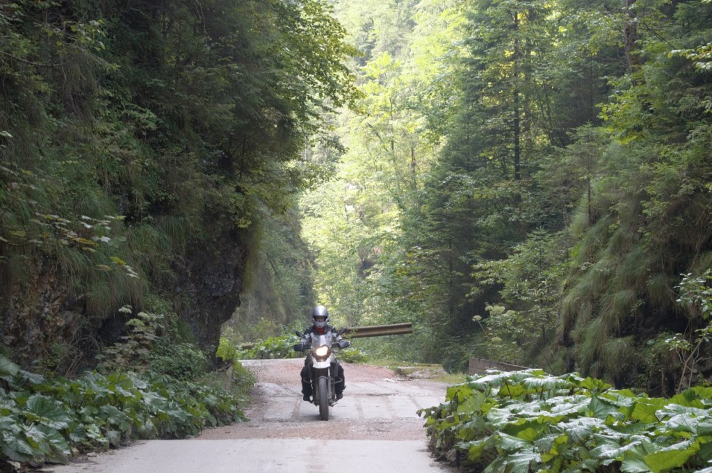 Cheile Ordancusii Apuseni